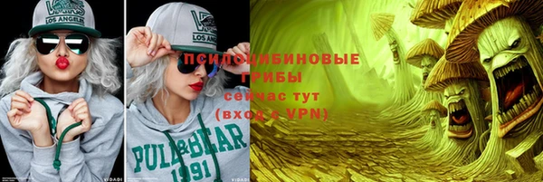 СК Вяземский